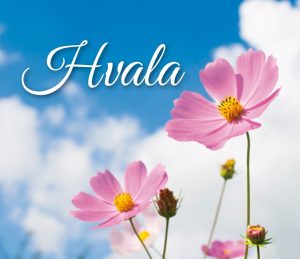 Hvala