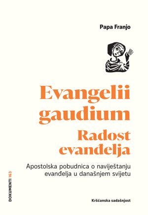 Evangelii Gaudium - Radost evanđelja (D-163)