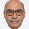 Michele Aramini