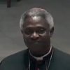 Peter Kodwo Appiah Turkson, Vittorio V. Alberti