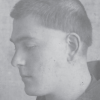 Teofil Josip Harapin